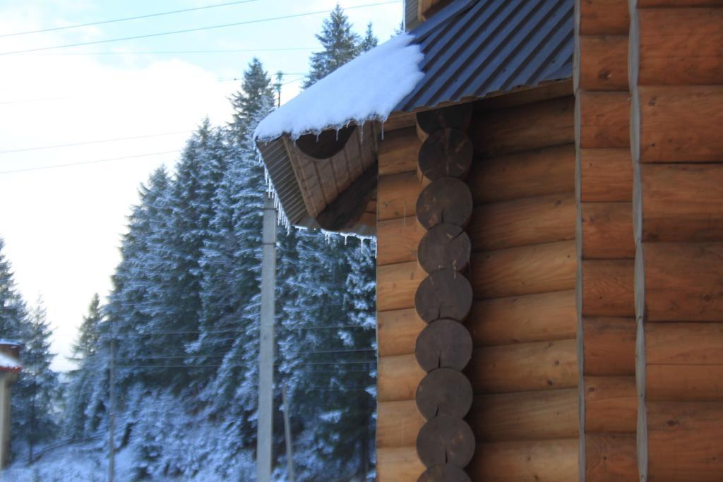 Sadyba Kazkove Dzherelo Werchowyna Exterior foto