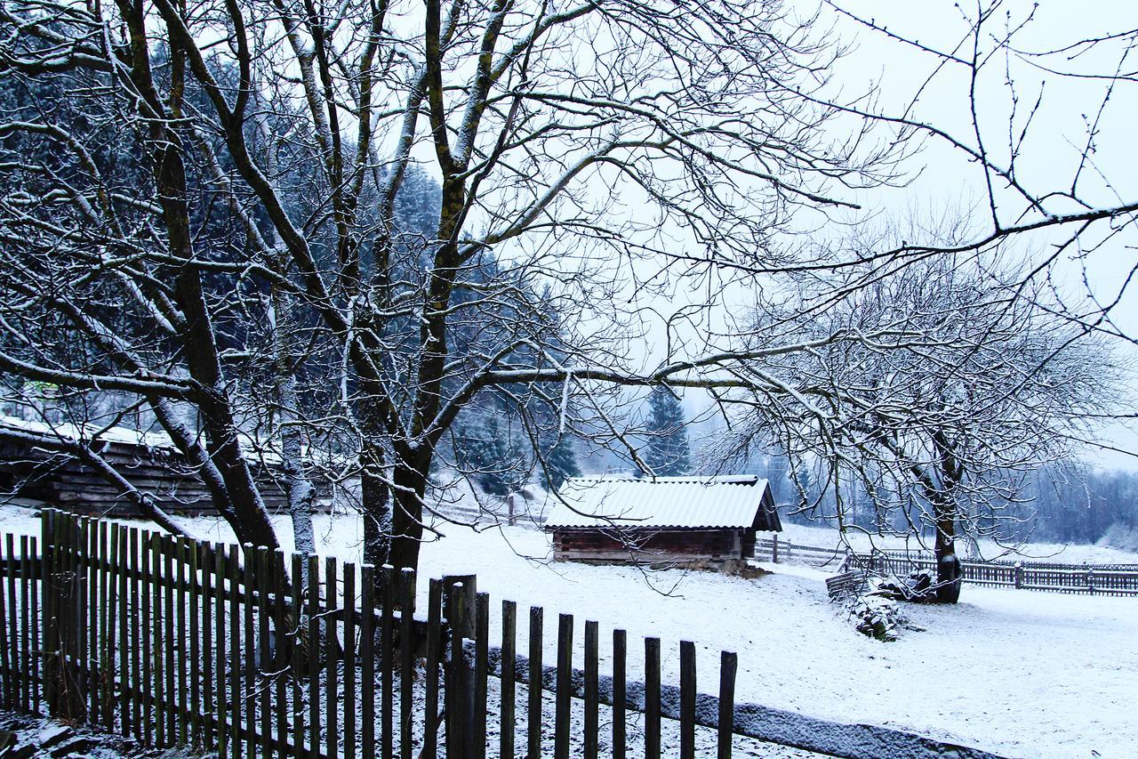 Sadyba Kazkove Dzherelo Werchowyna Exterior foto