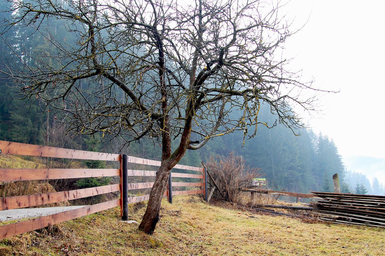 Sadyba Kazkove Dzherelo Werchowyna Exterior foto